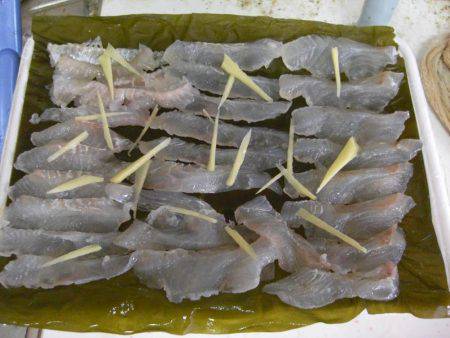 ひらめゲットだぜ!!