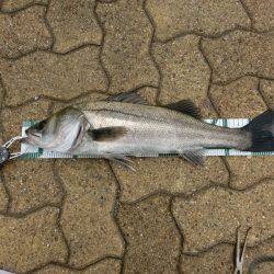 なんだかなあ～。