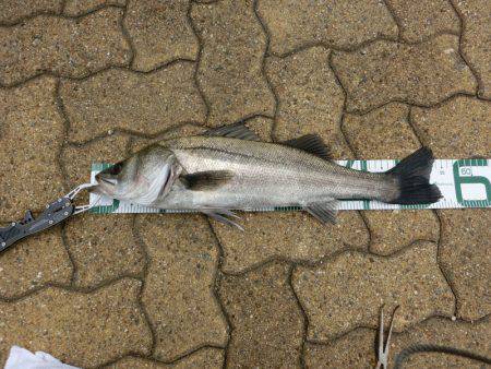 なんだかなあ～。