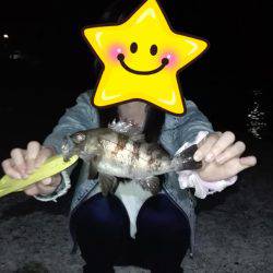 土庄町メバリング