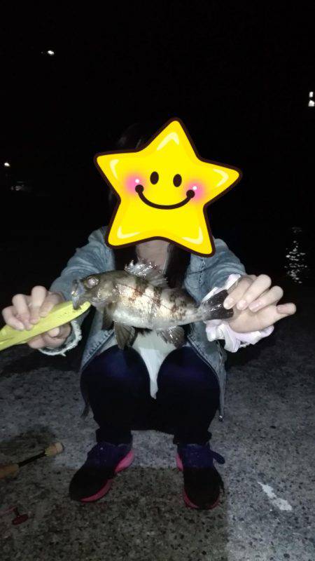 土庄町メバリング