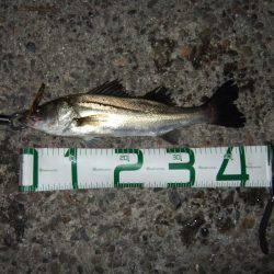 バースデープレゼント