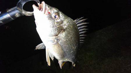 超短時間チニング