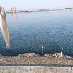 キス釣りスタート