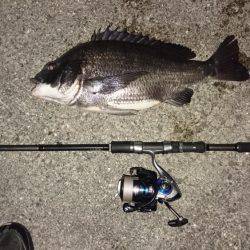 マニックでチヌ