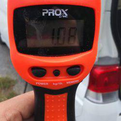 久しぶりのアオリイカ