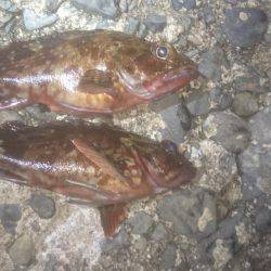 エギングでしたが…