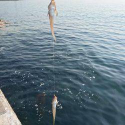 第1回、キス調査