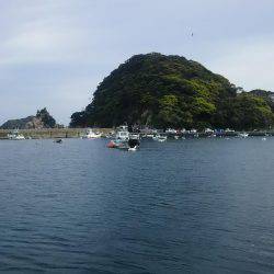 イカ、キス狙い