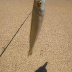 久しぶりに釣りに来ました