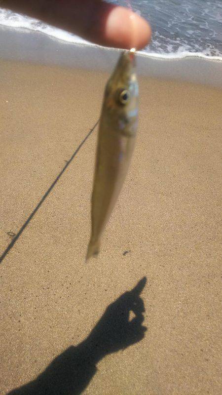 久しぶりに釣りに来ました