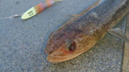 ヘビーワインド