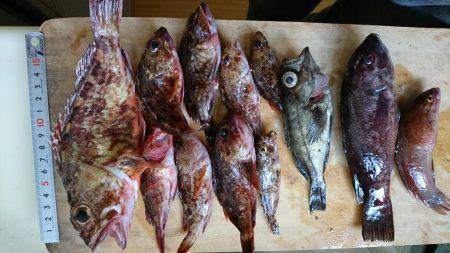 明石海峡大橋の下で根魚釣り