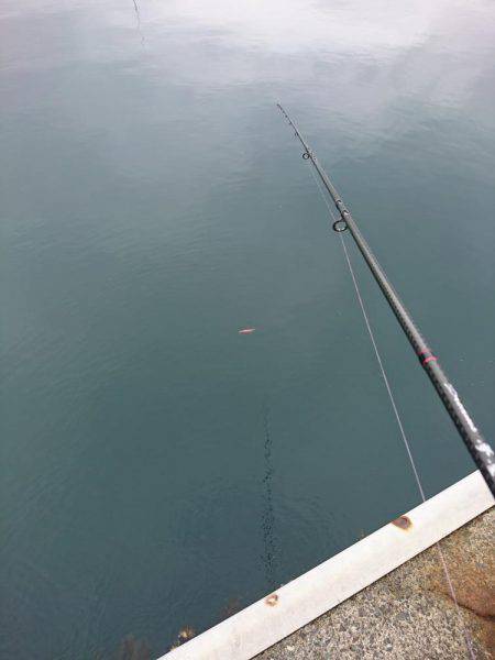 コウイカ狙い！