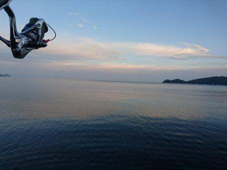 こどもの日コウイカエギング