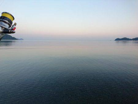 サーフエギング好調(*^^*)♪