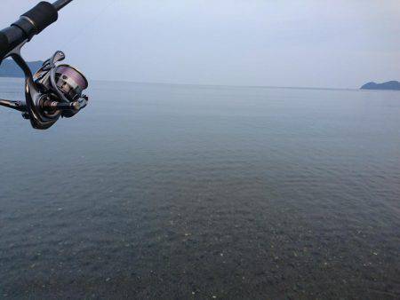 サーフエギング絶好調♪