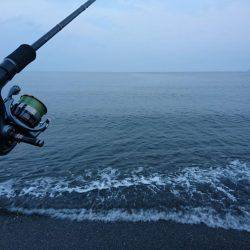 雨後のサーフエギング