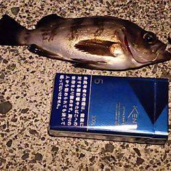 ２５㎝＼(^-^)／