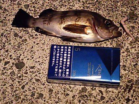 ２５㎝＼(^-^)／