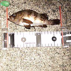 大きな水溜まり