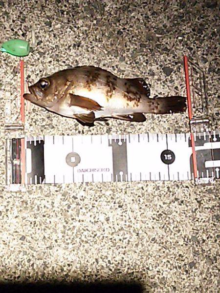 大きな水溜まり