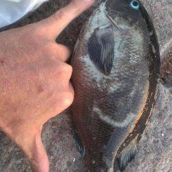 南芦屋浜石畳開幕戦