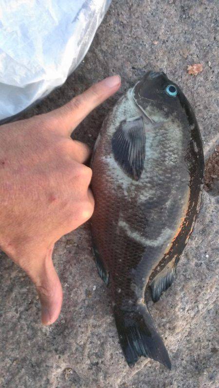 南芦屋浜石畳開幕戦