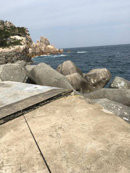 ファミリーフィッシング