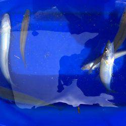 今シーズン 初キス!