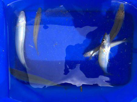 今シーズン 初キス!