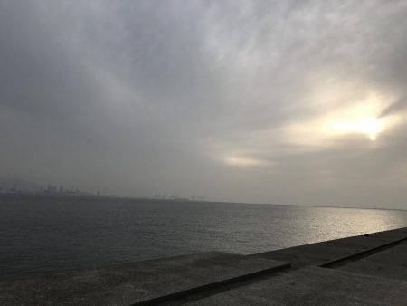 鯖きましたぁ〜♪