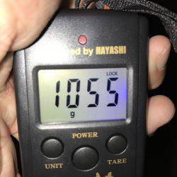 やっと今年もスタート(´∇`)