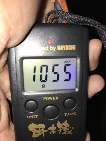 やっと今年もスタート(´∇`)