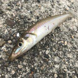 キスは足元に！