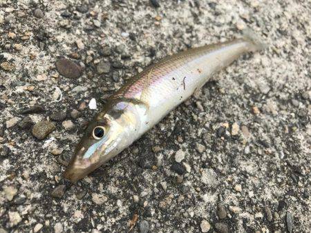 キスは足元に！