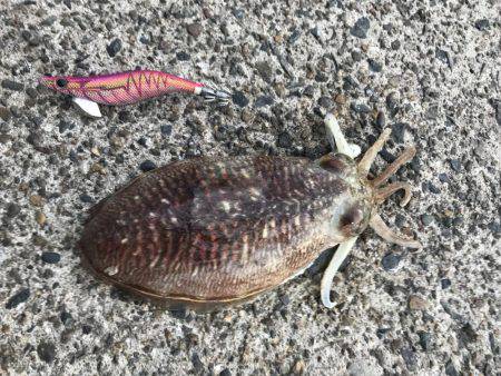 エリアに載ってない場所で