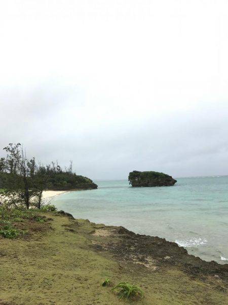 沖縄県今帰仁村でフカセ釣り