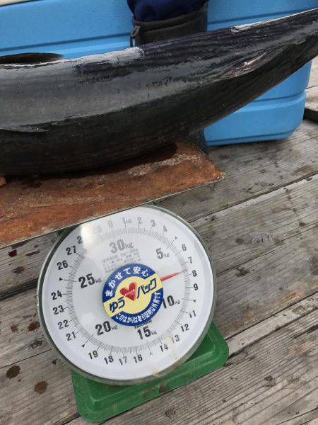 オフショアジギングでハガツオ、ハチビキ！