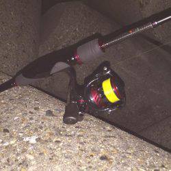 メバルが食べたくて！