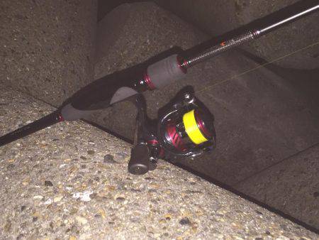 メバルが食べたくて！