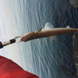 ショアジギング