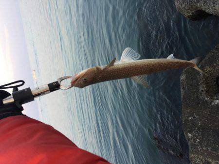 ショアジギング