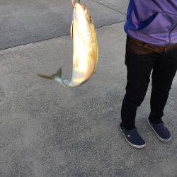 ショアジギング