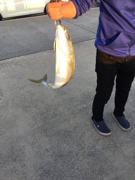 ショアジギング