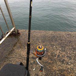 雨の中、エソだけ