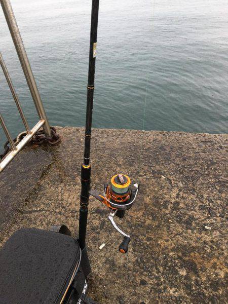 雨の中、エソだけ