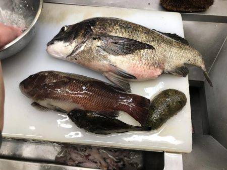 波止フカセでランガン