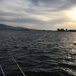 イイねー虫ヘッド