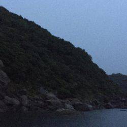 単身赴任釣行記